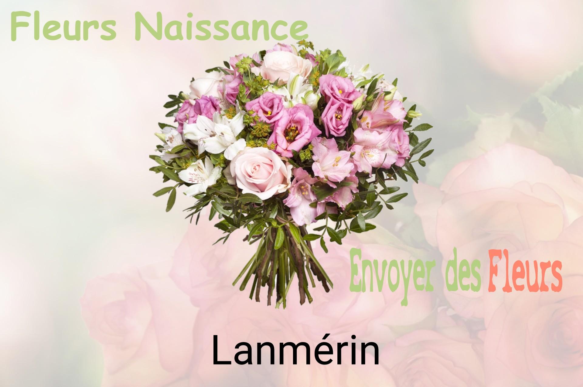 Bouquet de fleurs de naissance livré à Lanmérin